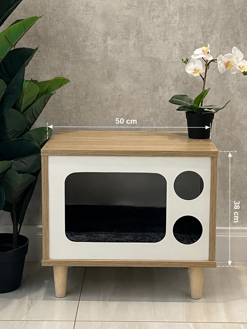 TV Cat House 🐾